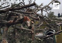 Árbol cae sobre vivienda en Suchitlán y causa daños a inmueble y vehículos