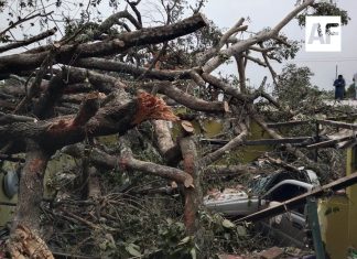Árbol cae sobre vivienda en Suchitlán y causa daños a inmueble y vehículos