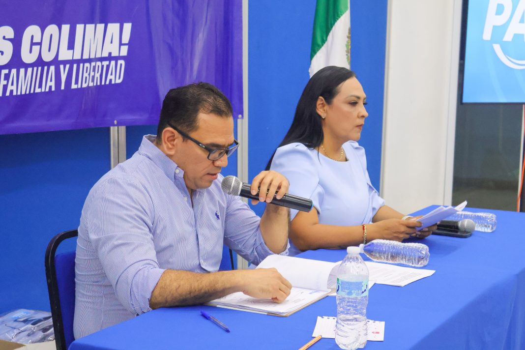 consejo estatal pan julia