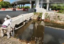 Marina y Pemex contienen derrame de hidrocarburo en la Ciénega de Progreso, Yucatán