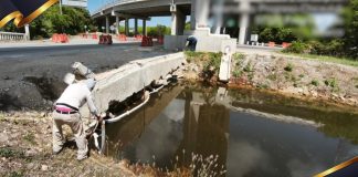 Marina y Pemex contienen derrame de hidrocarburo en la Ciénega de Progreso, Yucatán