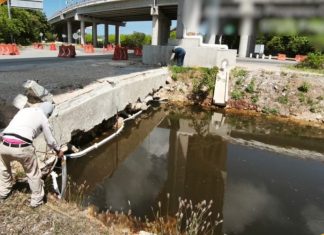 Marina y Pemex contienen derrame de hidrocarburo en la Ciénega de Progreso, Yucatán
