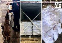 Marina y ANAM identifican cargamento de ácido tartárico en la Aduana de Lázaro Cárdenas