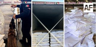 Marina y ANAM identifican cargamento de ácido tartárico en la Aduana de Lázaro Cárdenas