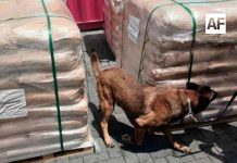 Inmovilizan más de 54 toneladas de dextrosa anhidra procedentes de China en la Aduana de Manzanillo