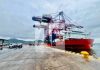 Llegan a Guaymas, Sonora, grúas portuarias que fueron embarcadas en Manzanillo