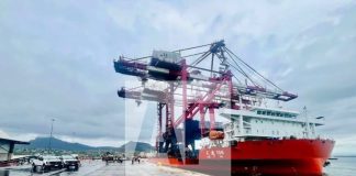Llegan a Guaymas, Sonora, grúas portuarias que fueron embarcadas en Manzanillo