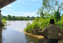 Mantienen vigilancia preventiva en costas de Jalisco pese al alejamiento del huracán Polo