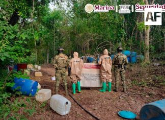 Marina inhabilita laboratorio clandestino de metanfetamina en Sinaloa