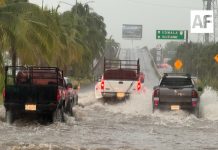 Polo mantiene en alerta a Colima: prevén lluvias intensas, vientos de hasta 90 km/h y oleaje de 9 metros