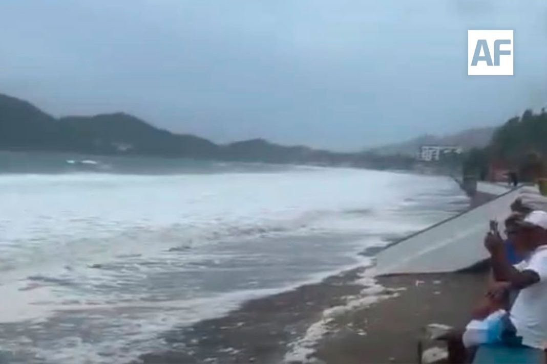 manzanillo-polo