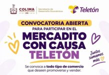 Sedeco Colima invita a emprendimientos a participar en Mercadito con Causa Teletón 2026