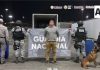Aseguran 237 kilos de cocaína y 12.65 kilos de fentanilo en la Aduana de Tijuana