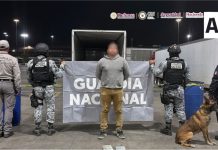 Aseguran 237 kilos de cocaína y 12.65 kilos de fentanilo en la Aduana de Tijuana