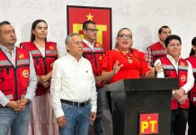 PT promueve la participación a través de sus comités de base: Alma Castillo