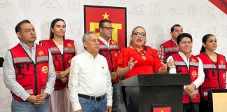 PT promueve la participación a través de sus comités de base: Alma Castillo