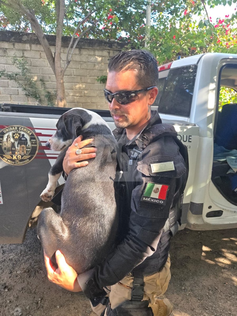 Detienen-en-Tlaquepaque-a-hombre-señalado-por-disparar-contra-un-perro1