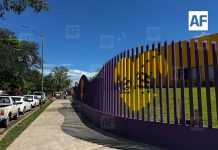 Anunciarán nuevo modelo de taxis adaptados ante próxima apertura del CRIT Teletón