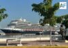 Hace escala en Manzanillo crucero Koningsdam con más de 2 mil 500 pasajeros a bordo