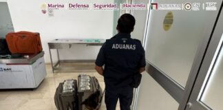 Aseguran más de 365 mil dólares ocultos en maletas en aeropuerto de Oaxaca