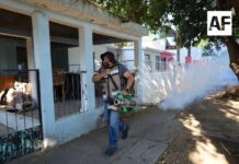 Salud Colima fumiga en cinco municipios y refuerza acciones en zonas afectadas por el huracán ‘Simón’