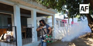 Salud Colima fumiga en cinco municipios y refuerza acciones en zonas afectadas por el huracán ‘Simón’