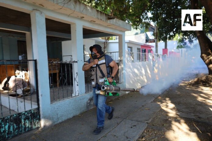 dengue1