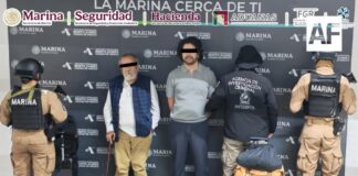 Detienen a cuatro personas y aseguran más de 47 kilos de droga en el AICM