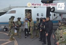 FGR, Marina y SSPC detienen en Jalisco a Miguel Ángel “N”, alias “Sol” y/o “Mike”