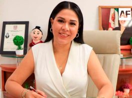 Diana Zepeda renuncia al DIF Estatal Colima; buscará la Coordinación de Defensa de la Transformación en el Distrito 2