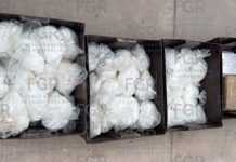 Vinculan a proceso a dos hombres tras asegurar más de 92 kilos de drogas, incluido fentanilo, en Sonora