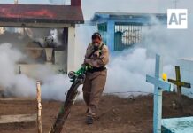 Gobierno del Estado de Colima fumigará panteones, colonias y comunidades a través de la Secretaría de Salud