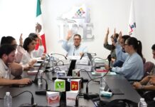Determina IEE Colima calendario del Proceso Electoral Local 2026-2027 y aprueba inscripción del partido político “PAZ”