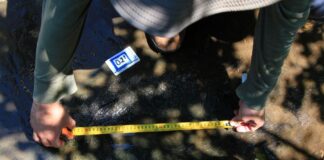 INAH confirma descubrimiento de 50 huellas de dinosaurios en Apatzingán, Michoacán