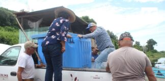 Subseder Colima alcanza 650 mil alevines sembrados en la Laguna de Amela; avanza 65% de la meta anual