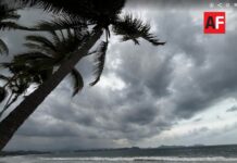 Prevén lluvias fuertes y oleaje de hasta 3 metros en Colima por el huracán Trudy