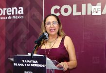 En Morena no hay “dedazo” en la selección de coordinaciones, afirma Mitzuko Márquez