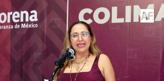 En Morena no hay “dedazo” en la selección de coordinaciones, afirma Mitzuko Márquez