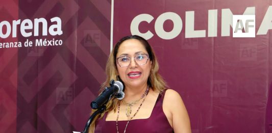 En Morena no hay “dedazo” en la selección de coordinaciones, afirma Mitzuko Márquez