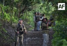 Gobierno del Estado impulsa el aviturismo con el 5° Festival Colima Birding