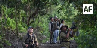 Gobierno del Estado impulsa el aviturismo con el 5° Festival Colima Birding