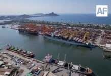 Estado de Colima acumuló 1,435 mdd en exportaciones en el primer semestre de 2026, reporta Inegi