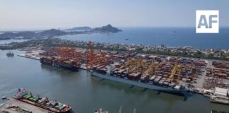 Estado de Colima acumuló 1,435 mdd en exportaciones en el primer semestre de 2026, reporta Inegi