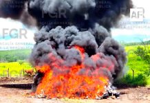 FGR incinera más de 3.7 toneladas de narcóticos en Colima; estima afectación de 648 MdP al crimen organizado