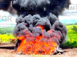 FGR incinera más de 3.7 toneladas de narcóticos en Colima; estima afectación de 648 MdP al crimen organizado