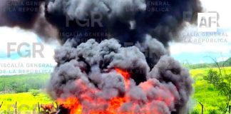 FGR incinera más de 3.7 toneladas de narcóticos en Colima; estima afectación de 648 MdP al crimen organizado