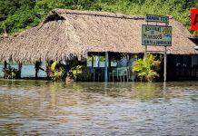 Daños en 77 viviendas, 14 comercios y 14 vehículos en Colima luego del paso de Rachel: Indira