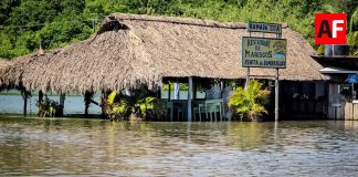 Daños en 77 viviendas, 14 comercios y 14 vehículos en Colima luego del paso de Rachel: Indira