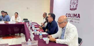 Salud Colima refuerza acciones de nebulización y control larvario contra dengue, zika, chikungunya y paludismo
