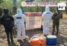 Marina, SSPC y FGR localizan laboratorio clandestino y aseguran 100 kilos de metanfetamina en Sinaloa